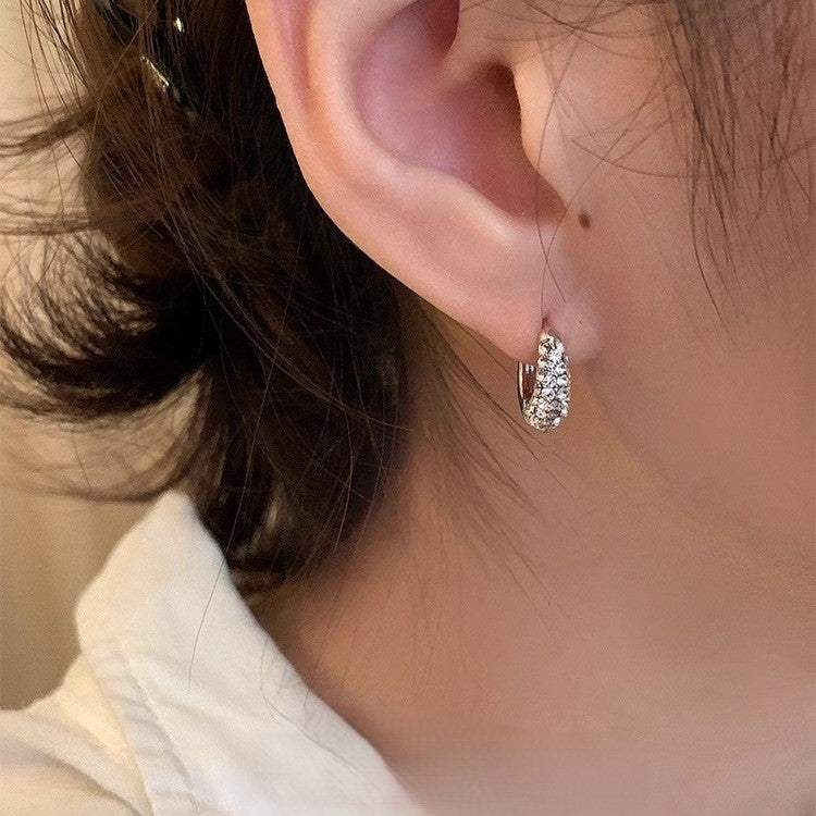 Zircon Full Diamond Circle Earrings